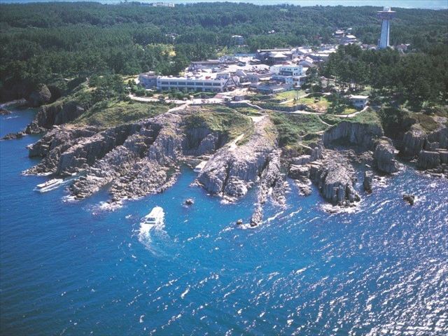 5. 感情の整理と判断